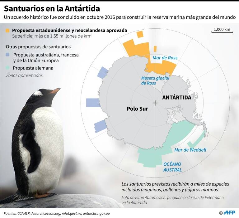 noticia