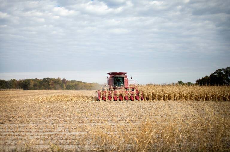 EEUU - materias - primas - agricultura - Chicago