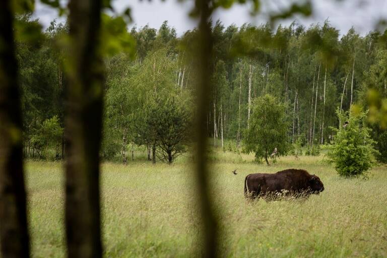 UE - Polonia - justicia - medioambiente - política