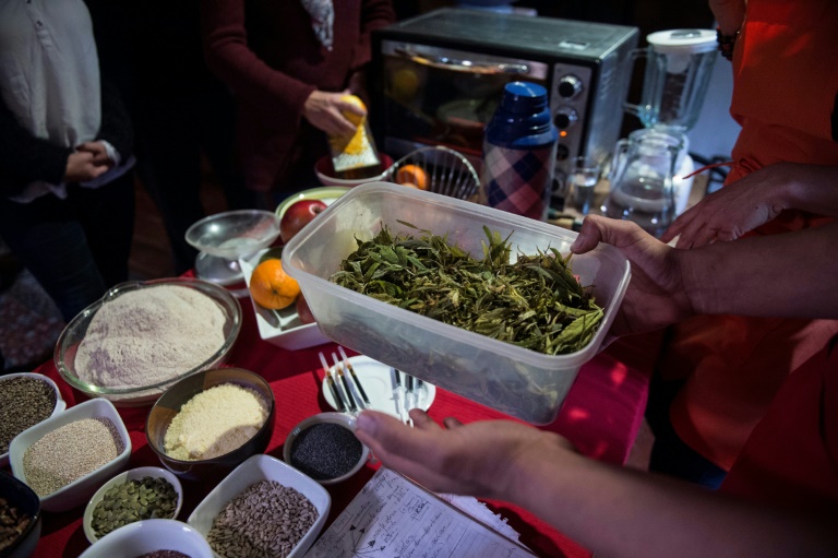 Chile,alimentos,salud,marihuana