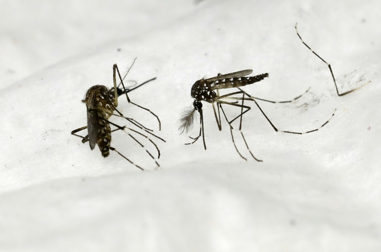 Niger - Cuba - sant - diplomatie - paludisme - moustiques - inondation - intempries - enfants