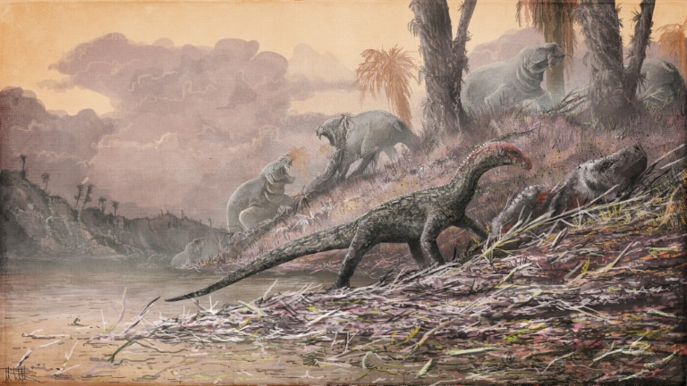 GB - Ciencias - paleontologa - Tanzania