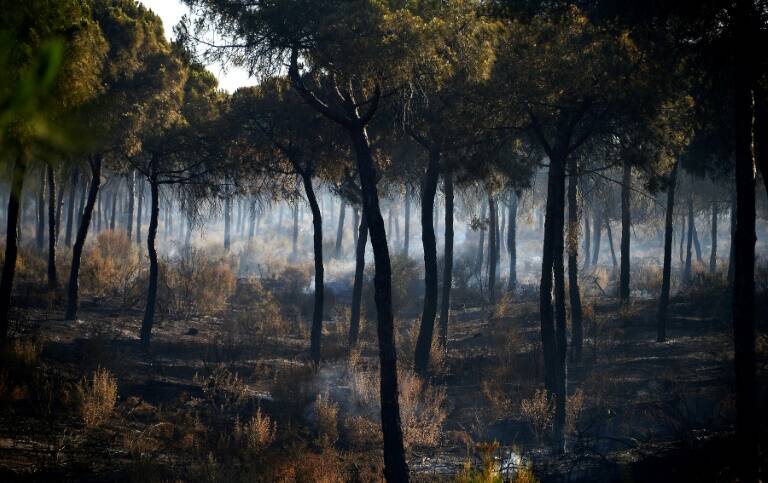 Espaa,medioambiente,incendio