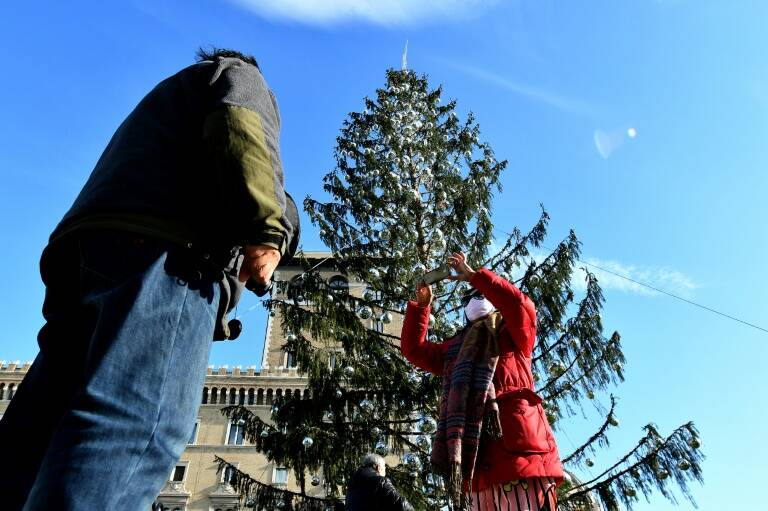 política - Italia - Navidad - árbol