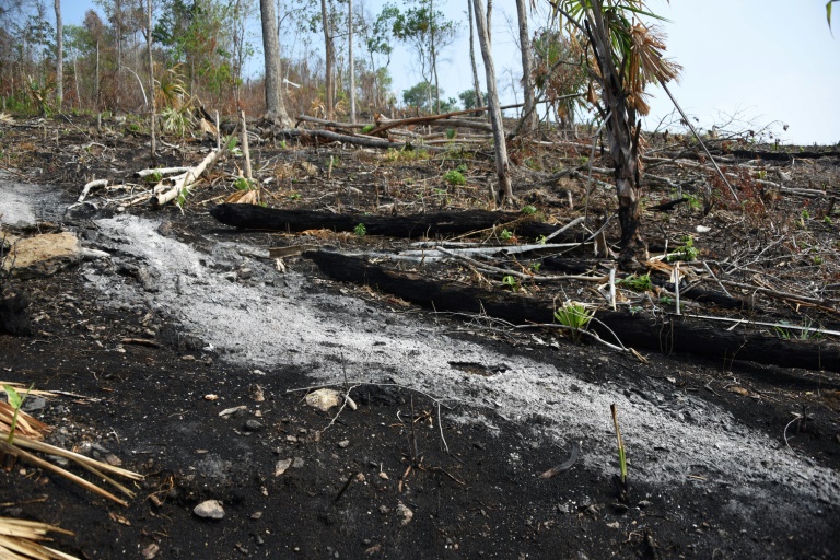 Guatemala - medioambiente - incendio - bosques