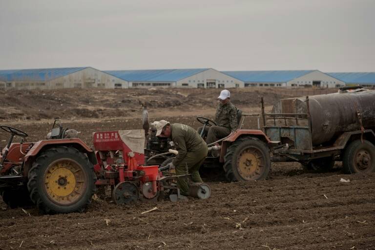 materias - primas - agricultura - EEUU