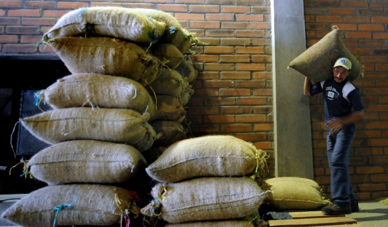Colombia, café, cultivos, economía