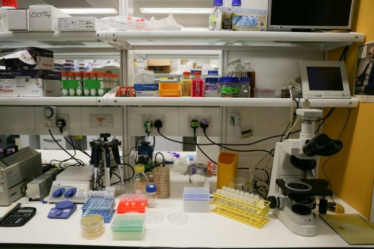 salud - enfermedad - genética - medicina - ciencia - ética