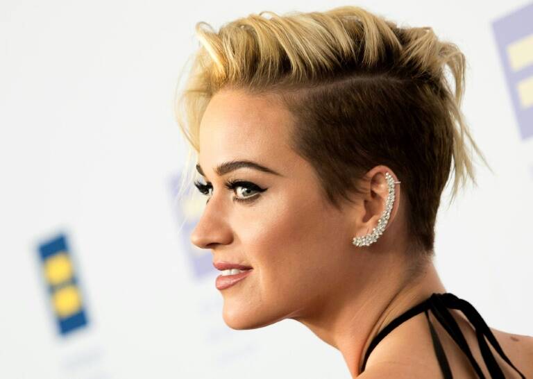 US,Entertainment,media,internet,music,Perry