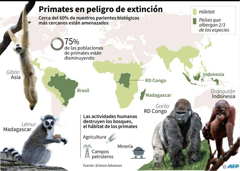 noticia