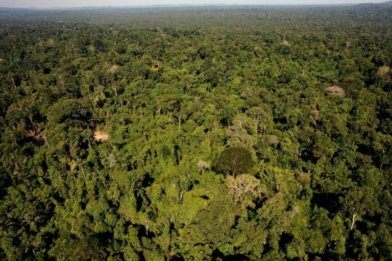 Brasil - medioambiente - minería - Amazonia - ONG