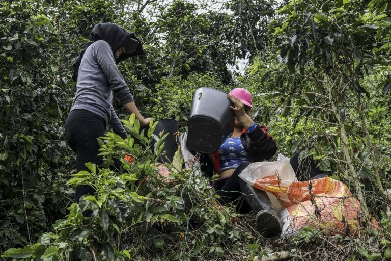 Colombia - café