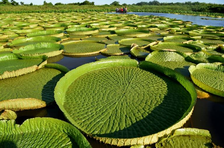 Paraguay - medioambiente - turismo