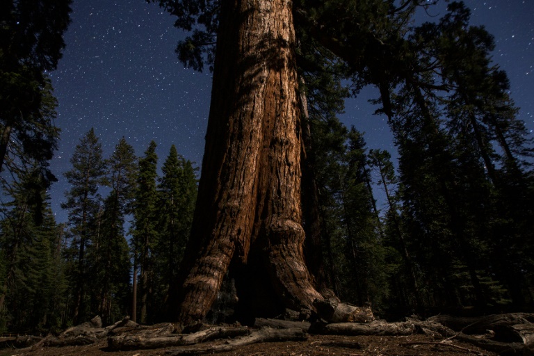 US - environment - tourism - Yosemite