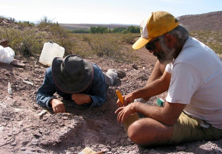 Argentina - España - paleontología