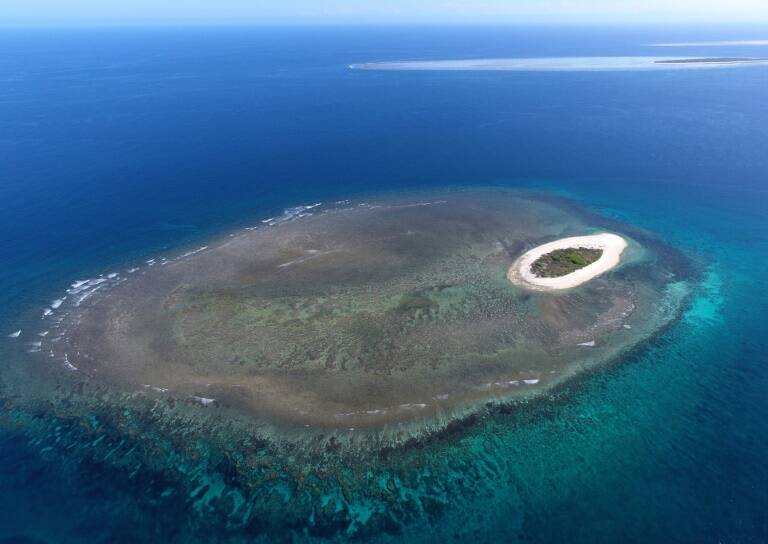 ocans - environnement - marine - Australie - animaux