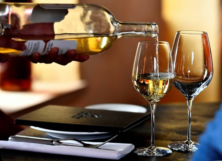 Europa - Latam - vinicultura - gastronomía - agricultura