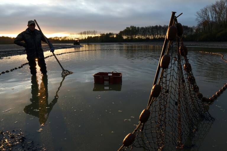 medioambiente - pesca - acuicultura - alimentación