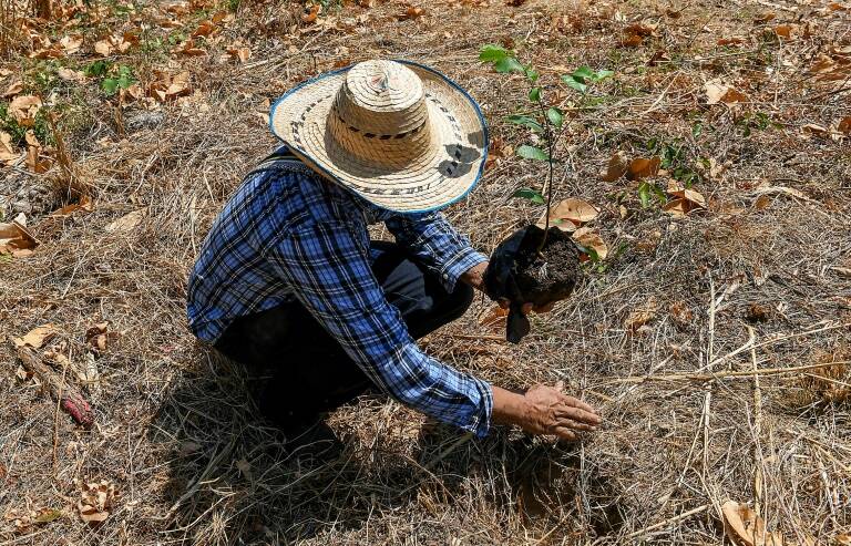 Colombia - biodiversidad - naturaleza - medioambiente