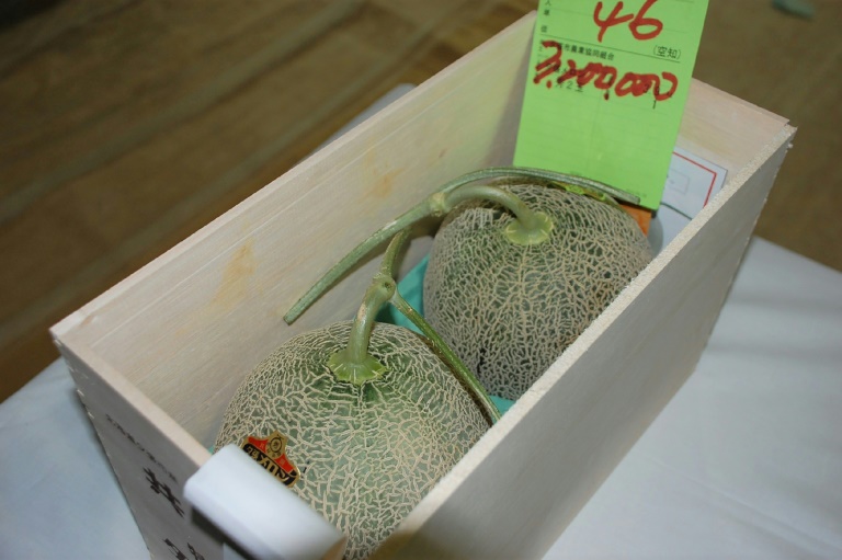 Japan - agriculture - melon - offbeat