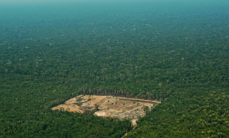 medioambiente,Greenpeace,bosques,Brasil,Amazonia