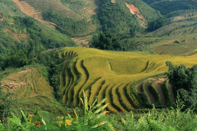 clima - Climate - China - Japan - gente - agricultura - US - alimentos - salud - ciencias