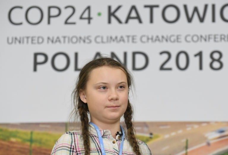 Climate - energy - UN - COP24 - activist