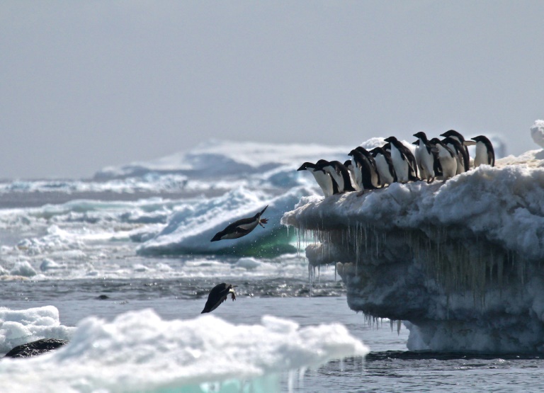 Australia - Antarctica - environment - conservation