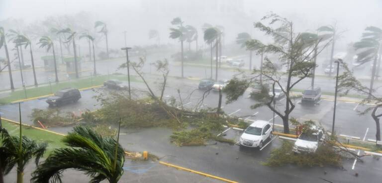 ONU - clima - seguros - economa