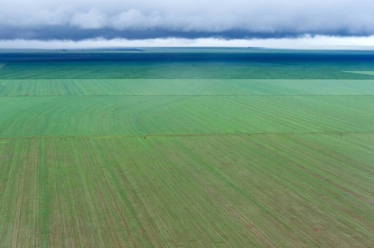 Brasil - agricultura