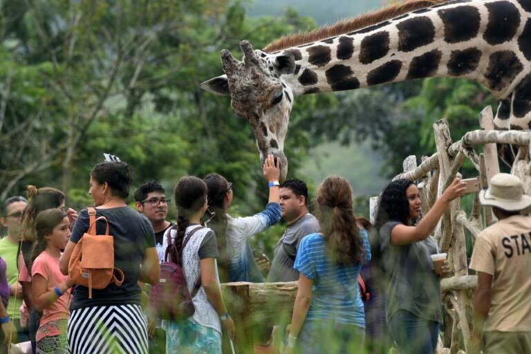 Honduras,medioambiente fauna,animales,narcotrfico