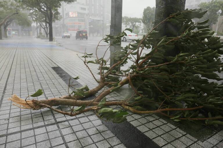 Japan - weather - typhoon