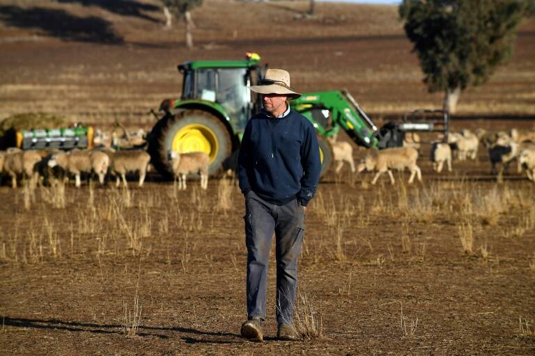 Australie, agriculture, scheresse, grandes, cultures