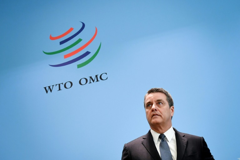 OMC - economa - comercio - poltica