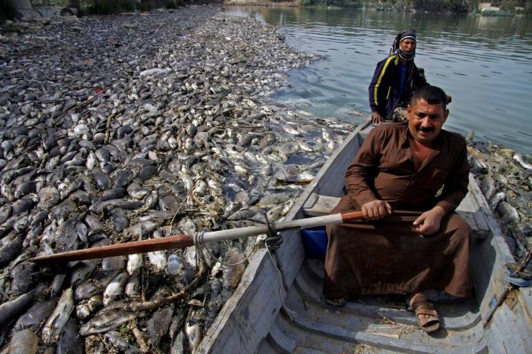 Irak,eau,environnement,agriculture