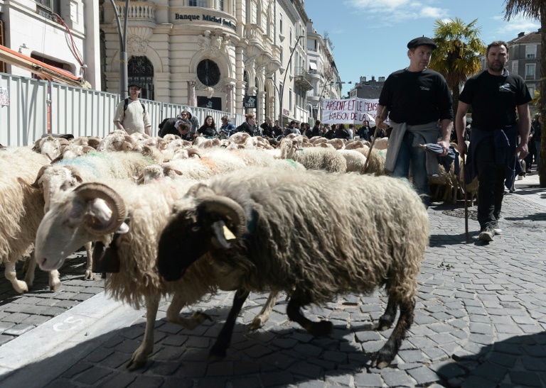 Francia - Espaa - ganadera - animales - medioambiente - manifestaciones