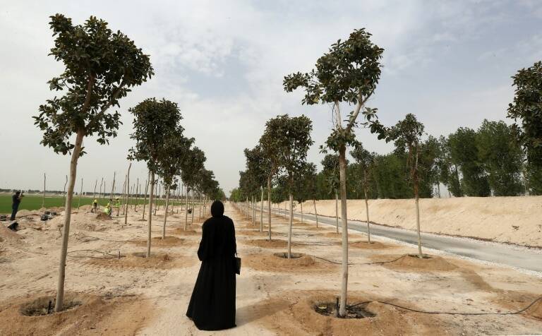 Fbl - WC - 2022 - medioambiente - Catar
