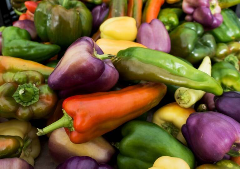 fertilizantes - pobreza - sociedad - US - alimentos - ciencias - salud