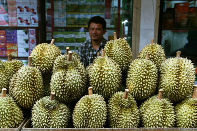 Indonesia,food,durian,offbeat