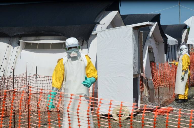 santé - virus - Ebola - recherche