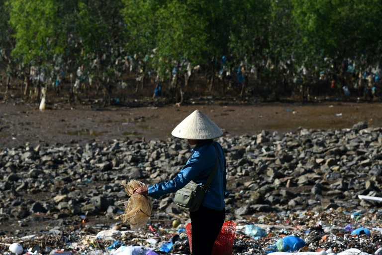 Asia - medioambiente - contaminacin - plsticos