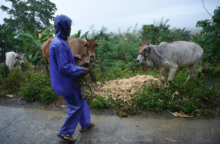 Philippines - typhoon - storm - farming