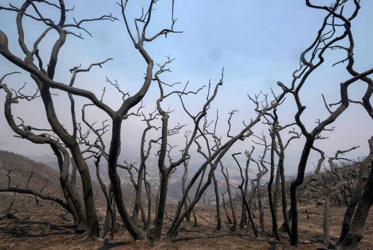 EEUU - medioambiente - ambiente - incendio - poltica - cambio - climtico