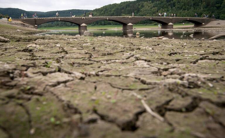 ONU - clima - medioambiente - ayuda