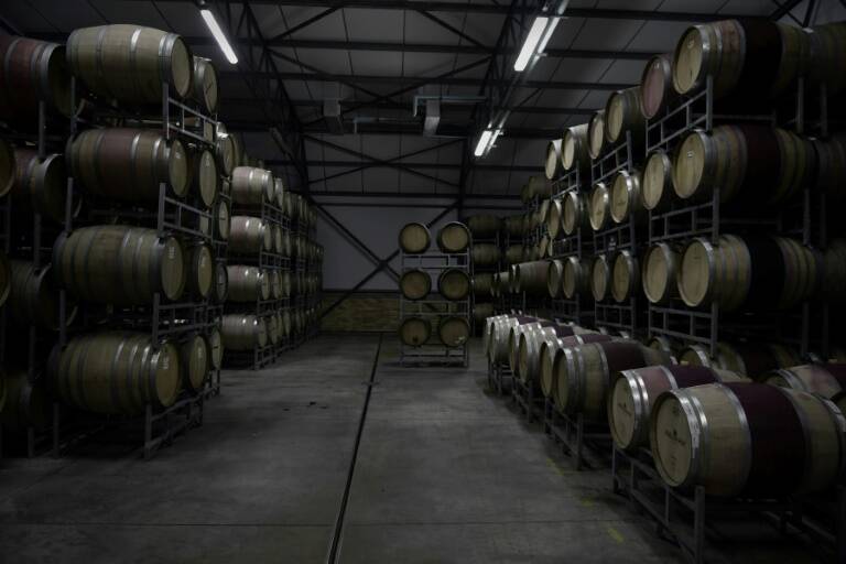 viticulture - agriculture - alimentation - boissons - Afsud - Argentine - Australie - Chili - Bresil - sécheresse - environnement