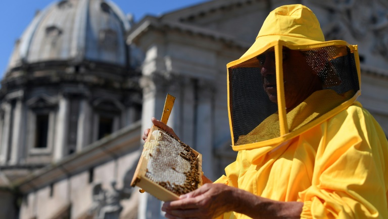 Italia - medioambiente - abejas
