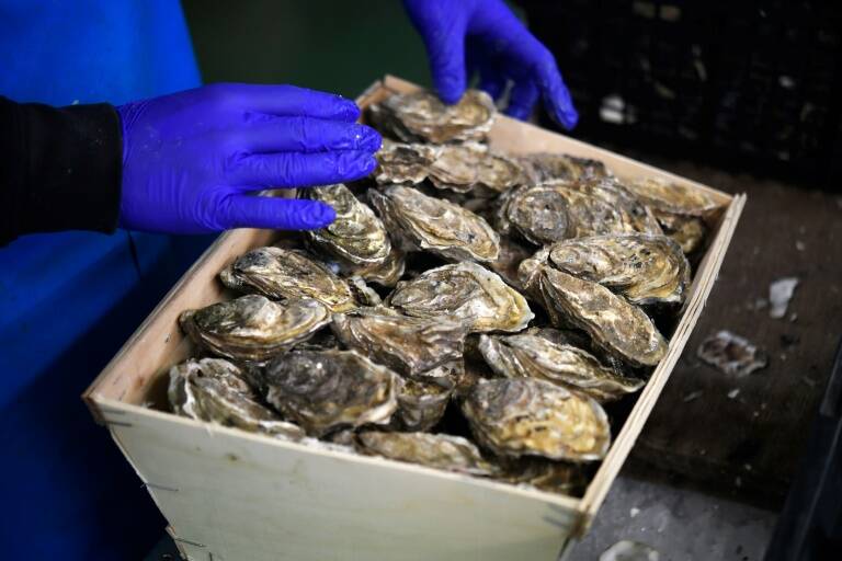 Francia - gastronomía - clima - pesca - medioambiente