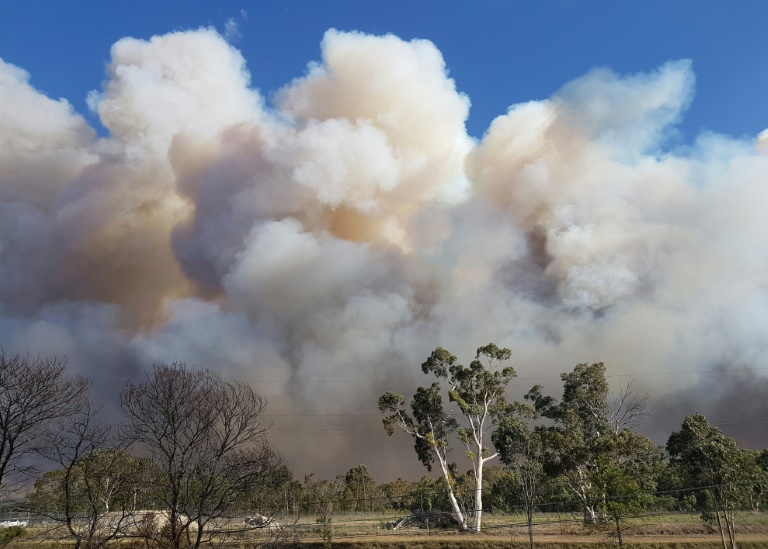 Australia,meteorologa,incendio,bosques