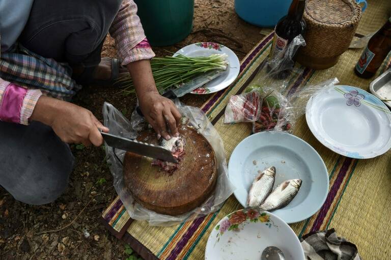 pesca - Chile - FAO