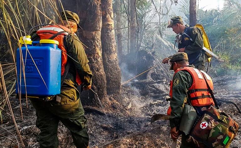 Nicaragua - Medioambiente - Incendio